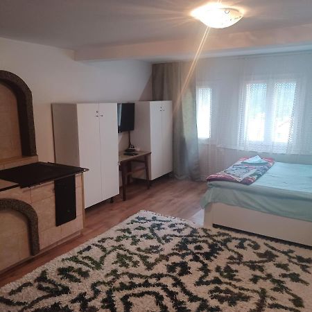 Casa Bucovina Dorna Candrenilor Ascutitele Luaran gambar