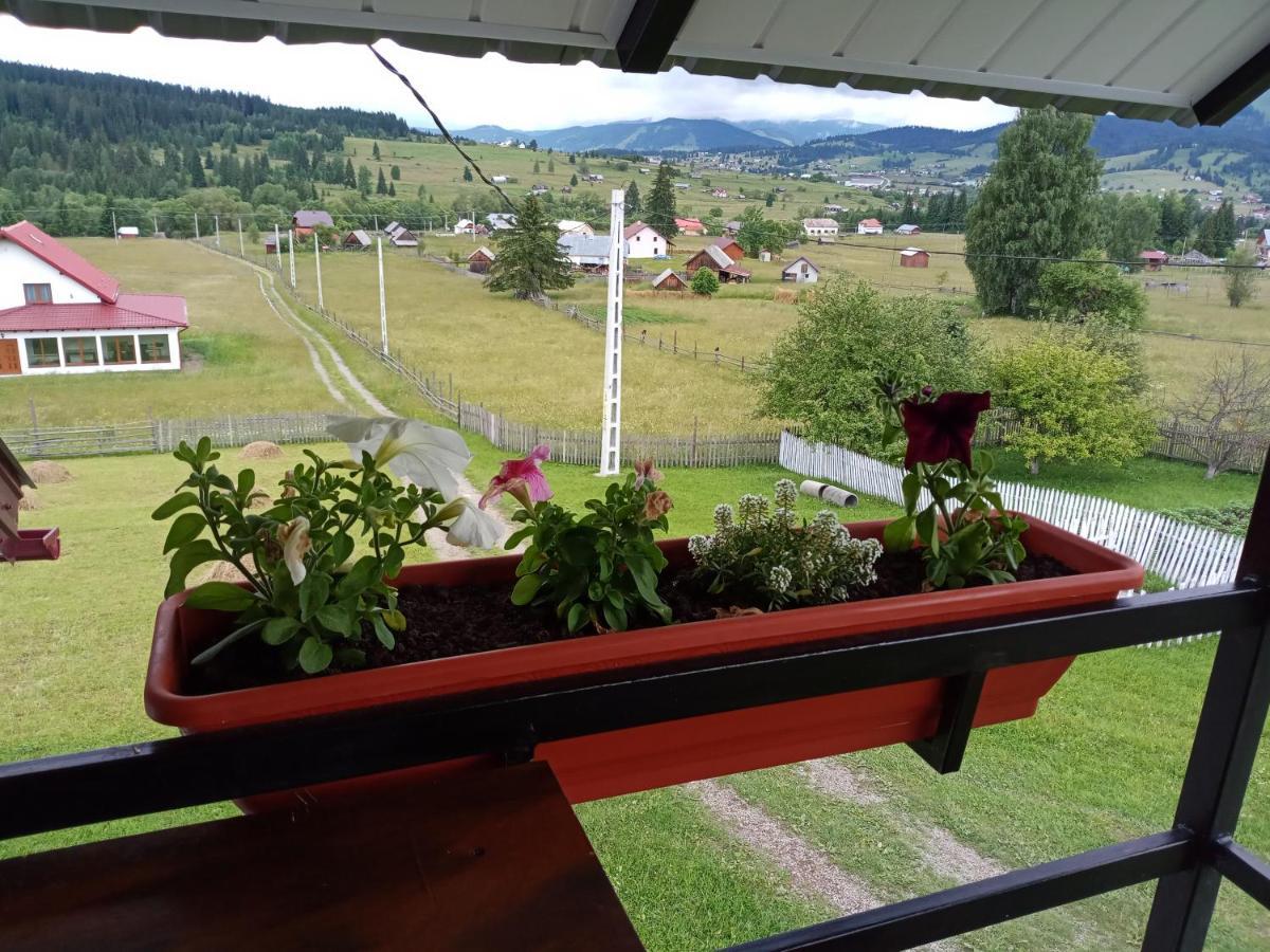 Casa Bucovina Dorna Candrenilor Ascutitele Luaran gambar